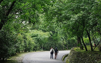 照片：「julia」BLOG